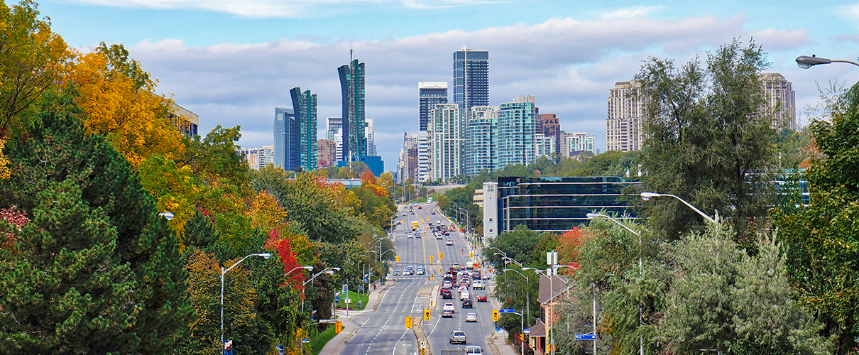 Commercial Cleaning Northyork